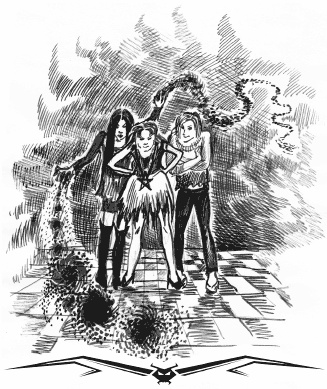 Иллюстрация к книге — Влада. Бал Темнейшего [i_015.jpg]