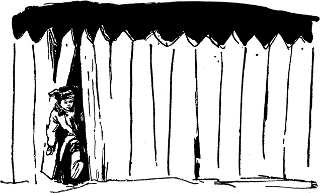 Иллюстрация к книге — Всё о невероятных приключениях Васи Голубева и Юрки Бойцова (сборник) [i_002.jpg]