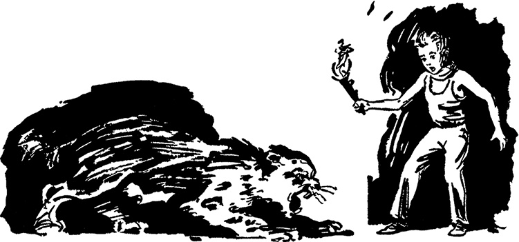 Иллюстрация к книге — Всё о невероятных приключениях Васи Голубева и Юрки Бойцова (сборник) [i_023.jpg]