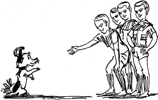 Иллюстрация к книге — Всё о невероятных приключениях Васи Голубева и Юрки Бойцова (сборник) [i_031.jpg]