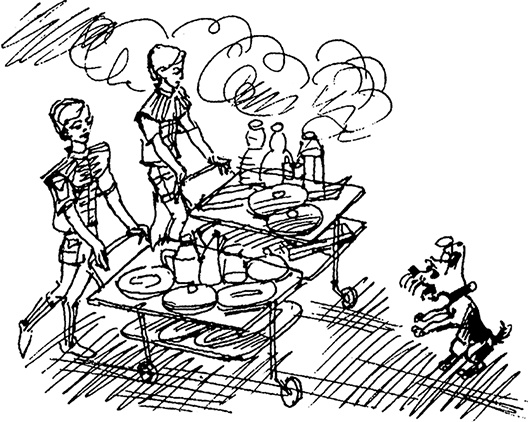 Иллюстрация к книге — Всё о невероятных приключениях Васи Голубева и Юрки Бойцова (сборник) [i_033.jpg]