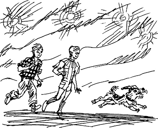 Иллюстрация к книге — Всё о невероятных приключениях Васи Голубева и Юрки Бойцова (сборник) [i_040.jpg]