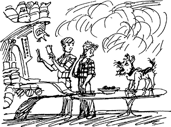 Иллюстрация к книге — Всё о невероятных приключениях Васи Голубева и Юрки Бойцова (сборник) [i_041.jpg]