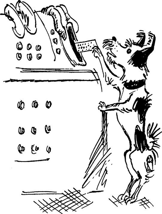 Иллюстрация к книге — Всё о невероятных приключениях Васи Голубева и Юрки Бойцова (сборник) [i_048.jpg]