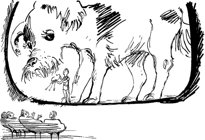 Иллюстрация к книге — Всё о невероятных приключениях Васи Голубева и Юрки Бойцова (сборник) [i_055.jpg]