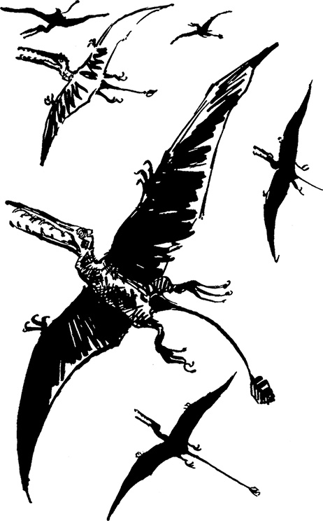 Иллюстрация к книге — Всё о невероятных приключениях Васи Голубева и Юрки Бойцова (сборник) [i_067.jpg]