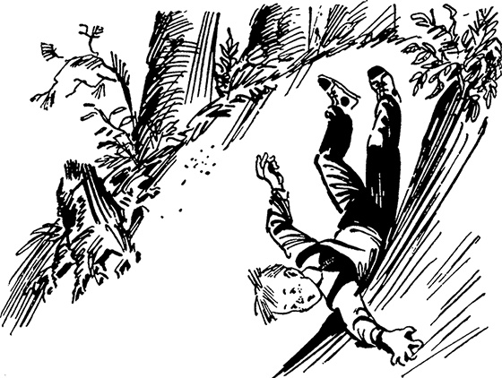 Иллюстрация к книге — Всё о невероятных приключениях Васи Голубева и Юрки Бойцова (сборник) [i_074.jpg]