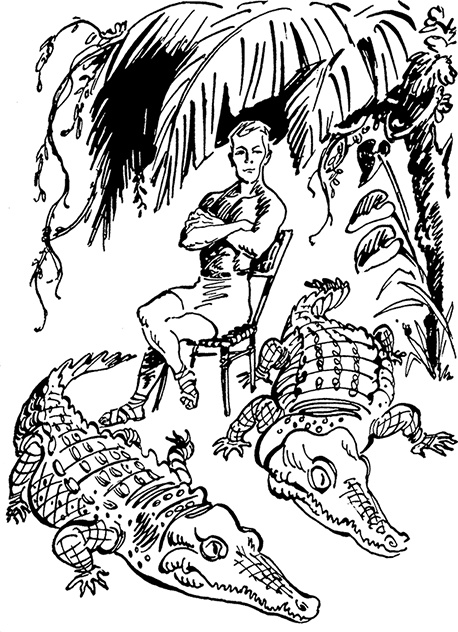 Иллюстрация к книге — Всё о невероятных приключениях Васи Голубева и Юрки Бойцова (сборник) [i_082.jpg]