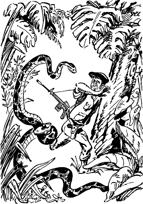 Иллюстрация к книге — Всё о невероятных приключениях Васи Голубева и Юрки Бойцова (сборник) [i_087.jpg]