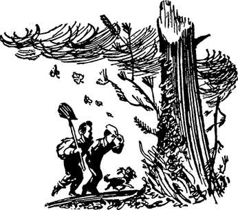 Иллюстрация к книге — Всё о невероятных приключениях Васи Голубева и Юрки Бойцова (сборник) [i_093.jpg]