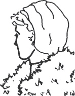 Иллюстрация к книге — Книга о власти над собой [i_019.jpg]