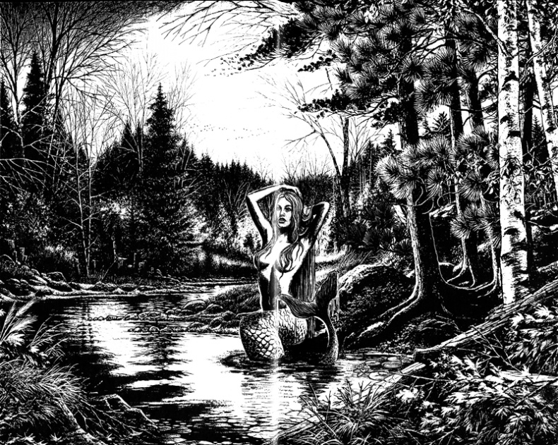 Иллюстрация к книге — Как вывести ведьмаков [i_001.jpg]