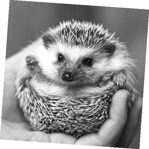 Иллюстрация к книге — Как стать звездой YouTube. ЛюсиЛюкс: Сетевая катастрофа [_063_3.jpg]