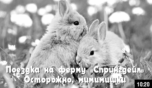 Иллюстрация к книге — Как стать звездой YouTube. ЛюсиЛюкс: Сетевая катастрофа [_092.jpg]