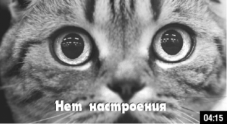 Иллюстрация к книге — Как стать звездой YouTube. ЛюсиЛюкс: Сетевая катастрофа [_111.jpg]