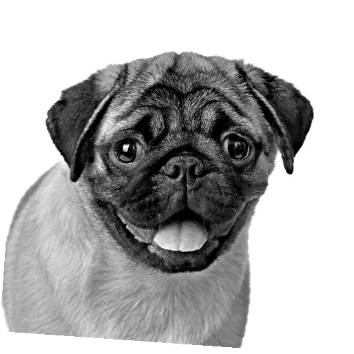 Иллюстрация к книге — Как стать звездой YouTube. ЛюсиЛюкс: Сетевая катастрофа [_125_2.jpg]