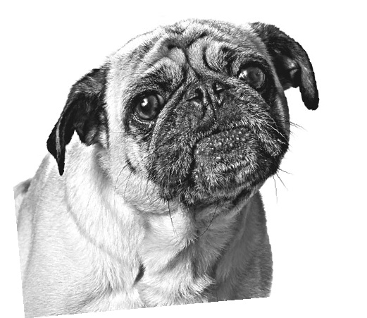 Иллюстрация к книге — Как стать звездой YouTube. ЛюсиЛюкс: Сетевая катастрофа [_128_3.jpg]