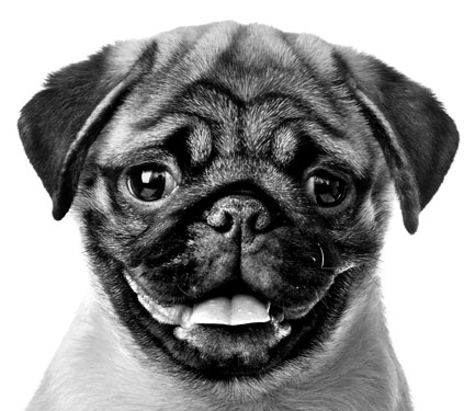 Иллюстрация к книге — Как стать звездой YouTube. ЛюсиЛюкс: Сетевая катастрофа [_133_2.jpg]