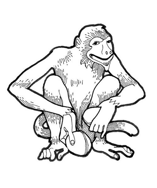 Иллюстрация к книге — Шаг в настоящее. Создай свою реальность [i_037.jpg]