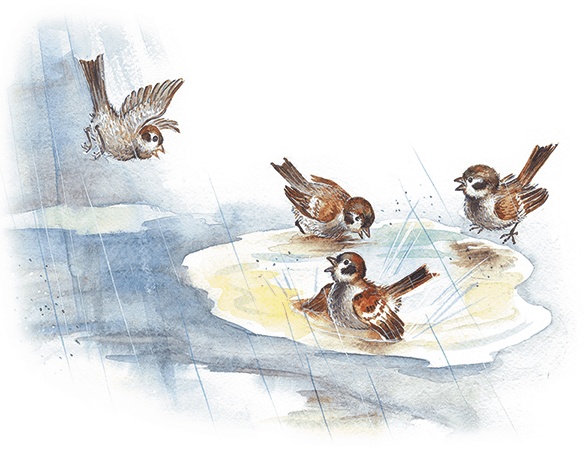 Иллюстрация к книге — Лесной голосок (сборник) [i_004.jpg]