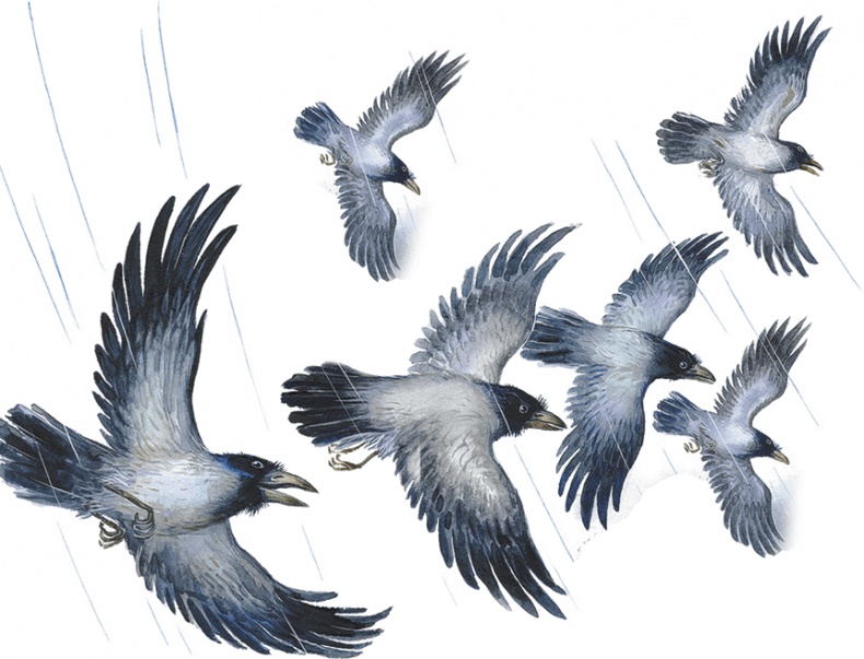 Иллюстрация к книге — Лесной голосок (сборник) [i_009.jpg]