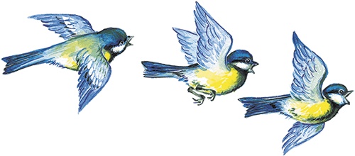 Иллюстрация к книге — Лесной голосок (сборник) [i_013.jpg]