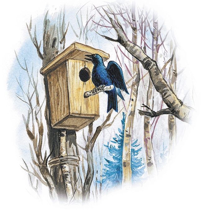 Иллюстрация к книге — Лесной голосок (сборник) [i_015.jpg]