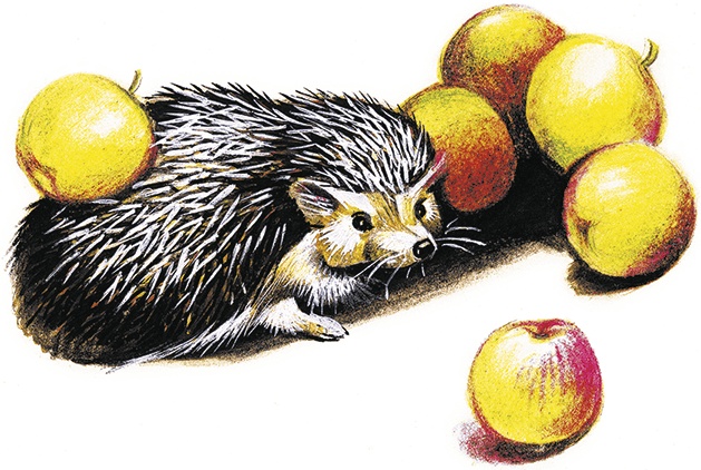 Иллюстрация к книге — Лесной голосок (сборник) [i_020.jpg]