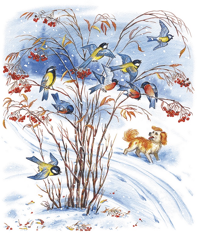 Иллюстрация к книге — Лесной голосок (сборник) [i_022.jpg]