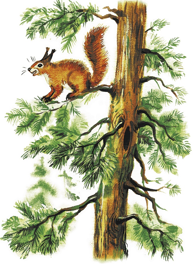 Иллюстрация к книге — Лесной голосок (сборник) [i_023.jpg]