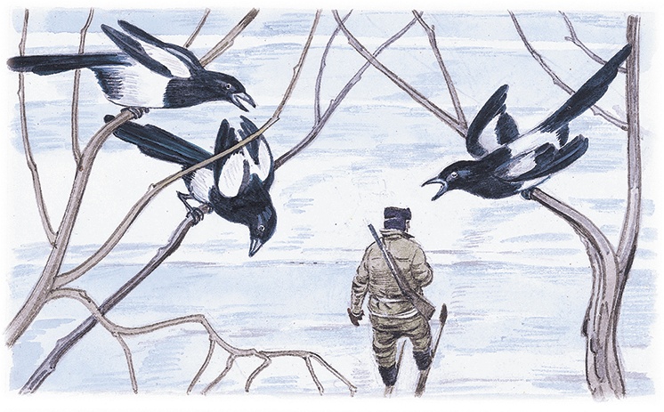 Иллюстрация к книге — Лесной голосок (сборник) [i_027.jpg]