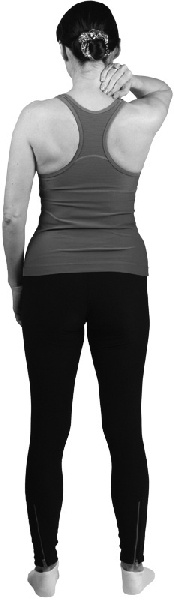 Иллюстрация к книге — Чтобы спина не болела: лучшие лечебные упражнения [_1022copy.jpg]