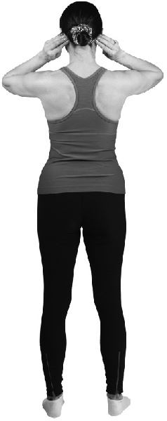 Иллюстрация к книге — Чтобы спина не болела: лучшие лечебные упражнения [_1042copy.jpg]