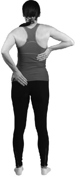 Иллюстрация к книге — Чтобы спина не болела: лучшие лечебные упражнения [_108copy.jpg]