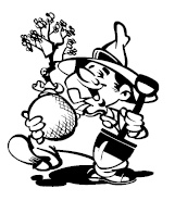 Иллюстрация к книге — Декоративные кустарники [i_001.jpg]