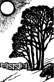 Иллюстрация к книге — Календарь умного садовода и огородника [i_003.jpg]