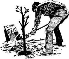 Иллюстрация к книге — Календарь умного садовода и огородника [i_006.jpg]