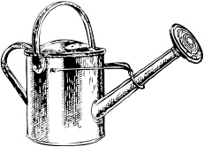 Иллюстрация к книге — Календарь умного садовода и огородника [i_009.jpg]