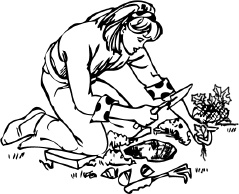 Иллюстрация к книге — Календарь умного садовода и огородника [i_010.jpg]