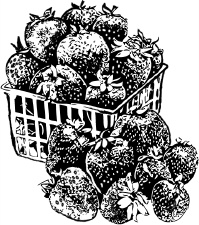 Иллюстрация к книге — Календарь умного садовода и огородника [i_011.jpg]