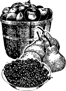 Иллюстрация к книге — Календарь умного садовода и огородника [i_014.jpg]