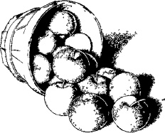 Иллюстрация к книге — Календарь умного садовода и огородника [i_015.jpg]