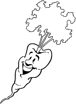 Иллюстрация к книге — Овощи и зелень. Заготовки по-деревенски [i_009.jpg]