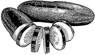 Иллюстрация к книге — Овощи и зелень. Заготовки по-деревенски [i_011.jpg]