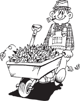 Иллюстрация к книге — Огород и сад без хлопот и затрат [i_002.jpg]