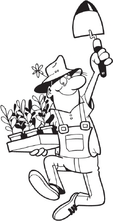 Иллюстрация к книге — Огород и сад без хлопот и затрат [i_003.jpg]