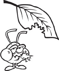 Иллюстрация к книге — Огород и сад без хлопот и затрат [i_008.jpg]