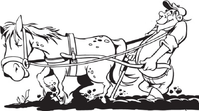 Иллюстрация к книге — Огород и сад без хлопот и затрат [i_011.jpg]