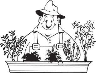 Иллюстрация к книге — Огород и сад без хлопот и затрат [i_019.jpg]