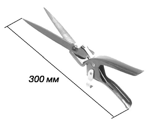 Иллюстрация к книге — Садово-огородные хитрости. Постройки и инвентарь [i_076.jpg]